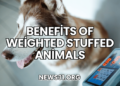 Benefits of Weighted Stuffed Animals