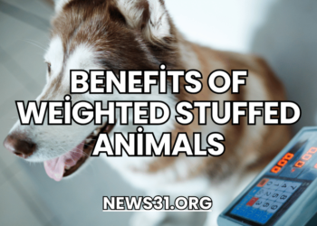 Benefits of Weighted Stuffed Animals