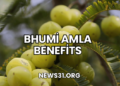 Bhumi Amla Benefits