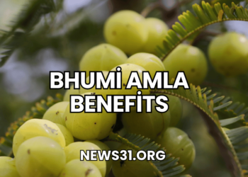 Bhumi Amla Benefits