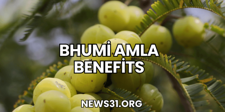 Bhumi Amla Benefits