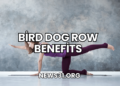 Bird Dog Row Benefits