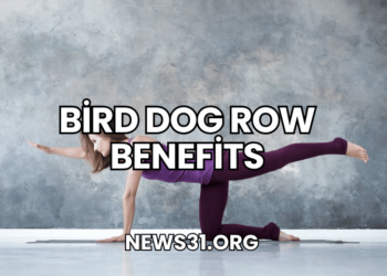 Bird Dog Row Benefits