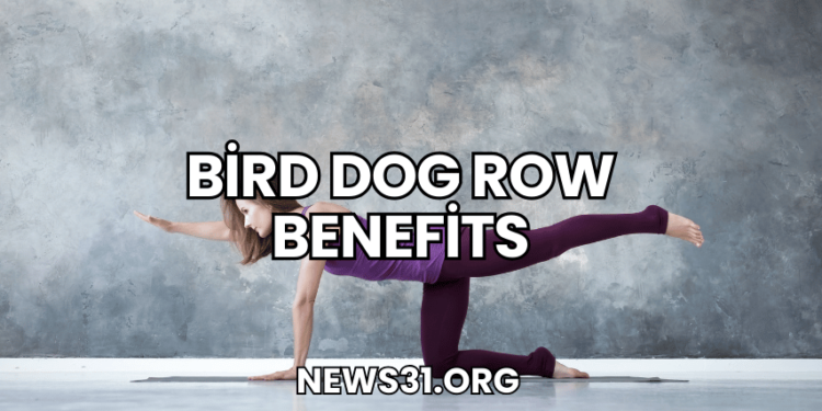 Bird Dog Row Benefits