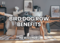 Bird Dog Row Benefits