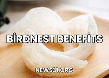 Birdnest Benefits