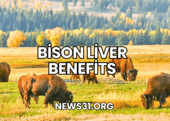 Bison Liver Benefits