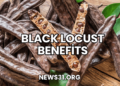 Black Locust Benefits