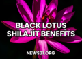 Black Lotus Shilajit Benefits