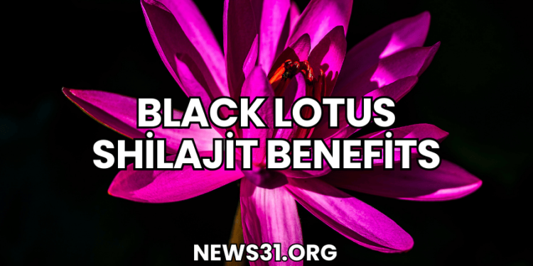 Black Lotus Shilajit Benefits