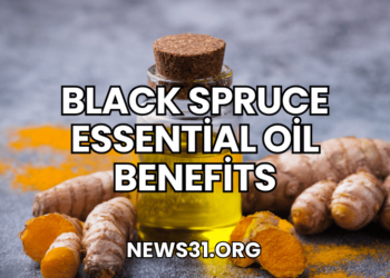 Black Spruce Essential Oil Benefits