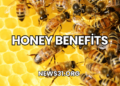 Honey Benefits