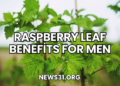 Raspberry Leaf Benefits for Men