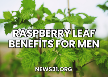 Raspberry Leaf Benefits for Men