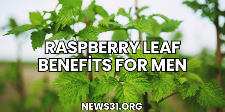 Raspberry Leaf Benefits for Men