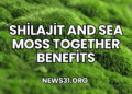 Shilajit and Sea Moss Together Benefits