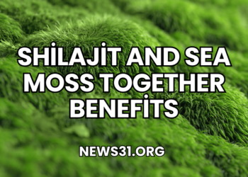 Shilajit and Sea Moss Together Benefits