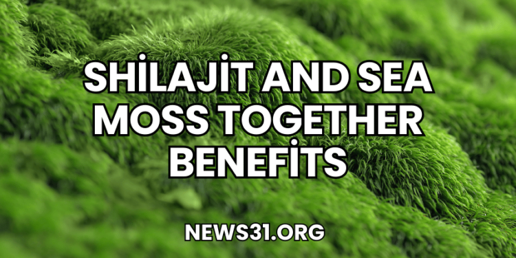 Shilajit and Sea Moss Together Benefits