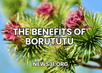 The Benefits of Borututu