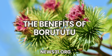 The Benefits of Borututu