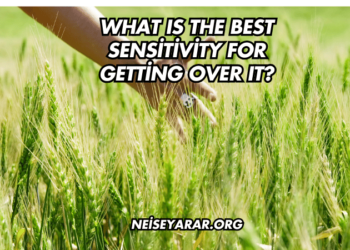 What Is the Best Sensitivity for Getting Over It?