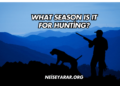 What Season Is It for Hunting?